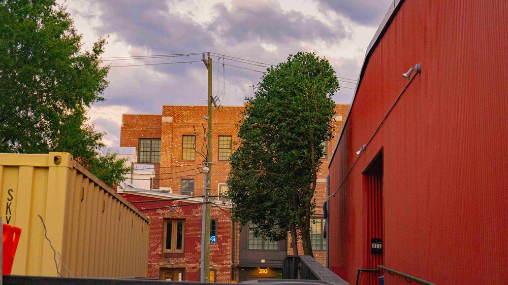 Tree trimming in downtown Fredericksburg