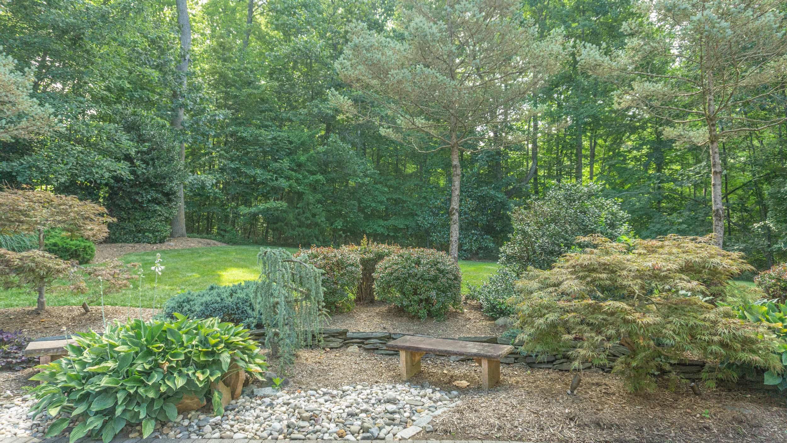 Landscaped garden and lawn