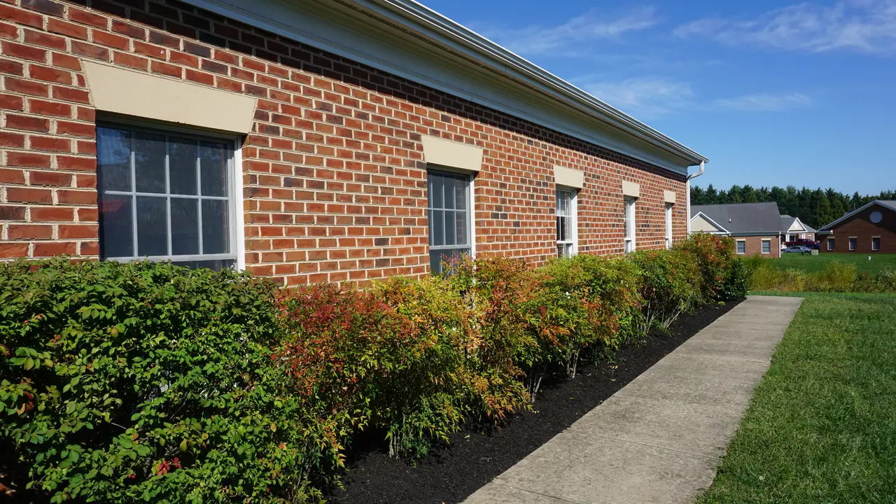 A hedge row and dark mulch beside a clear walkway and brick building.