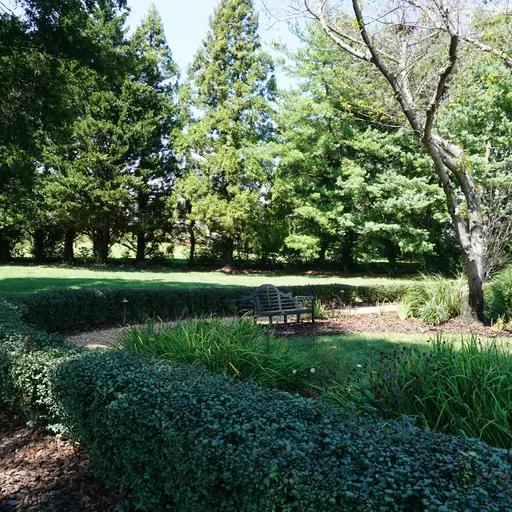 Curved hedges, planting beds and a bench in a residential garden.