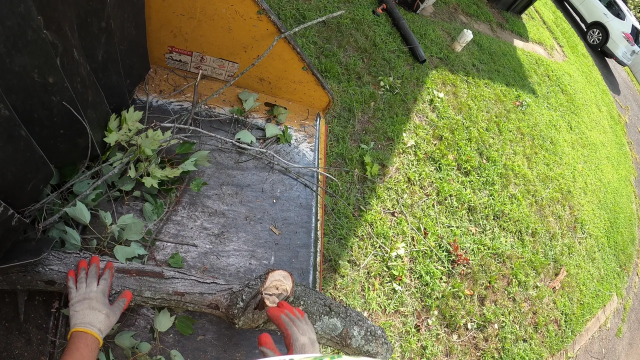 First-person view of gloved hands guiding a wood section onto a chipper tray, with the side edge and adjacent grass visible.