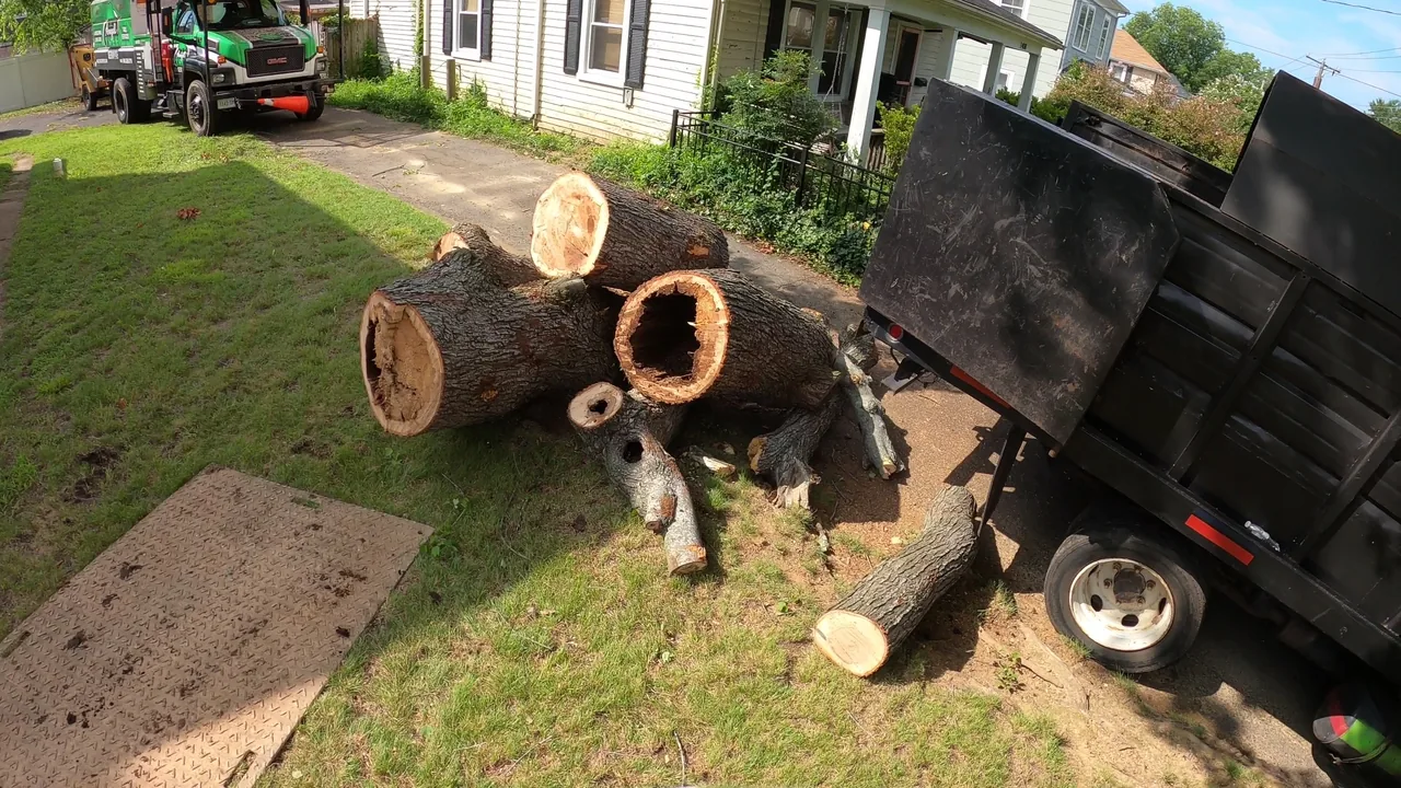 Cut wood sections beside a dump bed, including a large section with a hollow center.