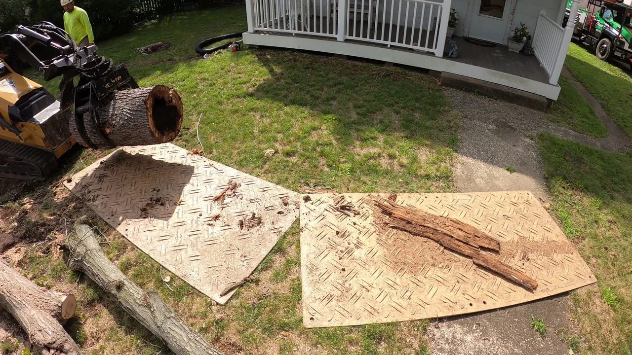 A compact loader handles a large hollow wood section over boards laid beside a house.